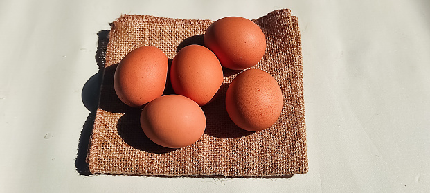 A chicken egg on a white background with a black shadow behind it. group of chicken eggs isloated on white