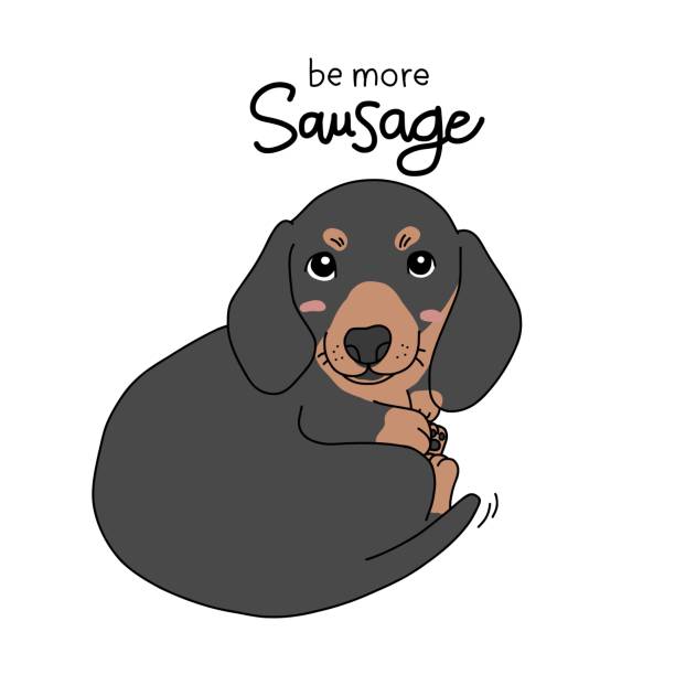illustrations, cliparts, dessins animés et icônes de teckel chien être plus saucisse dessin animé vector illustration - dachshund hot dog dog smiling