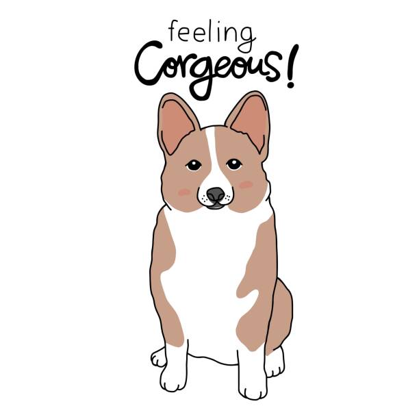 Feeling Corgeous, Corgi dag cartoon vector illustration Feeling Corgeous, Corgi dag cartoon vector illustration dag stock illustrations