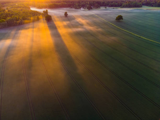 istock Majestic Sunrise Over a Serene Drone Landscape 1490236701