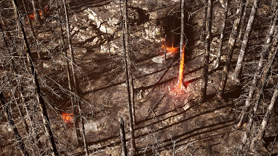 Forest Fire, Satellite View, High Angle View, Drone Point of View, Aerial View