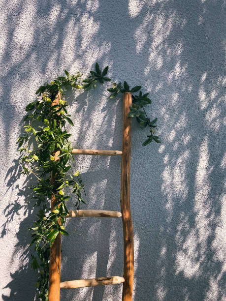 istock Decorated wooden ladder 1490246438