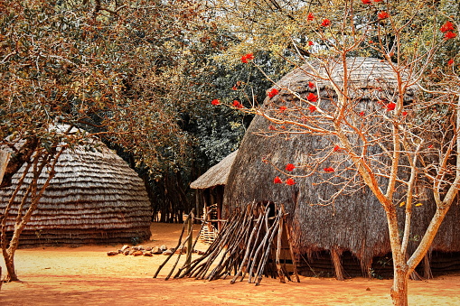 Traditional Zulu huts in Zululand.  The Zulu Kingdom was a monarchy in Southern Africa.  In the mid-19th the area was absorbed into the Colony of Natal and later became part of the Union of South Africa.