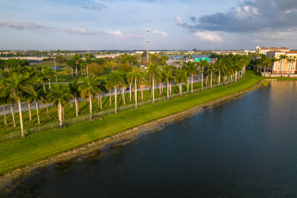 istock A view of the lake and palm trees 1490267246