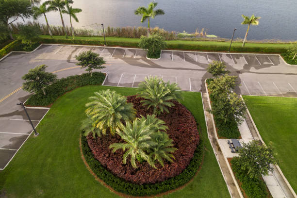 istock A view of the lake and palm trees 1490267256