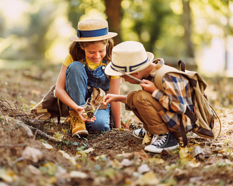 Two little children boy and girl with backpacks looking examine plants and collect herbarium in a glass jar while exploring forest nature and environment on sunny day during outdoor ecology school lesson