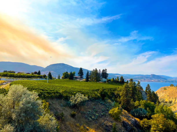 istock Penticton in British Columbia, Canada 1490275328