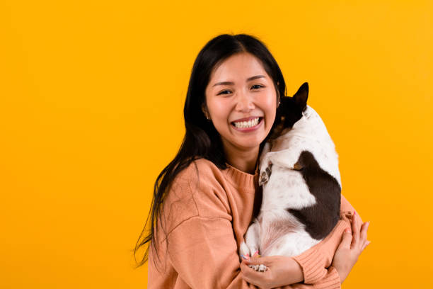 istock girl with chihuahua 1490275489