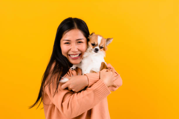istock girl with chihuahua 1490275509