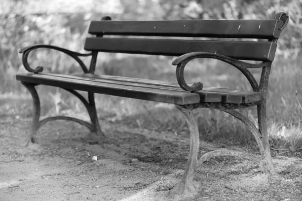 istock Wooden bench in a city park 1490280500