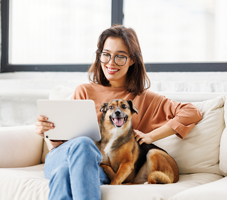 Happy young woman spending time with her pet beloved dog at home sitting on couch and browsing news in  tablet