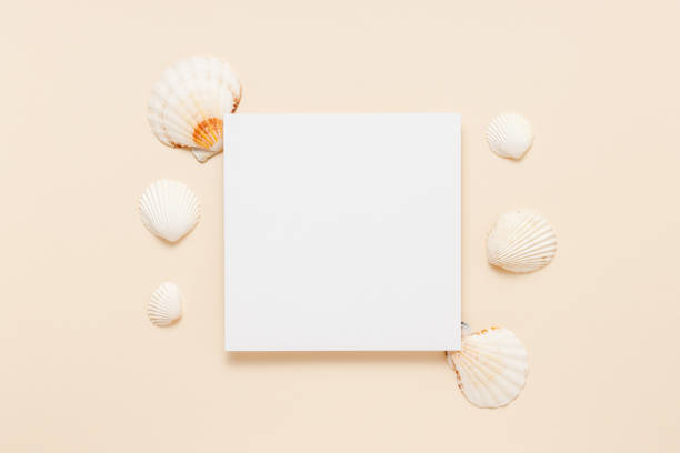 istock Paper sheet mockup card with seashells on light yellow background 1490286941