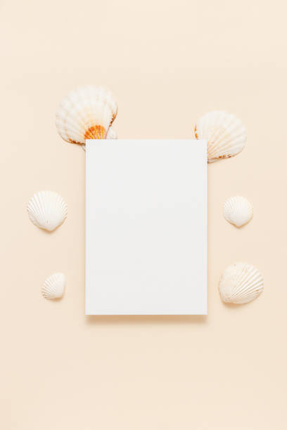 istock Summer minimal paper card background with seashells on light yellow background 1490286967