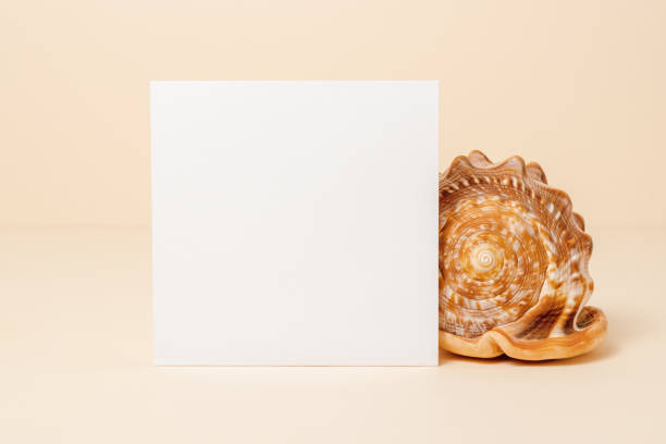 istock Square summer minimal paper sheet card with seashell on beige background 1490287026