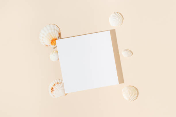 istock Summer minimal paper card background with seashells and sunlight shadows 1490287268