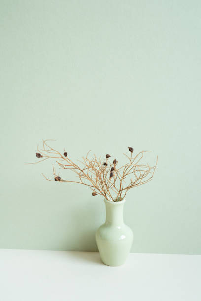 istock Vase of dry flower on white table. mint wall background. copy space 1490288630
