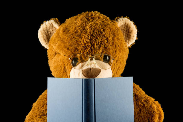 Brown teddy bear with spectacles reading a book isolated on a black background