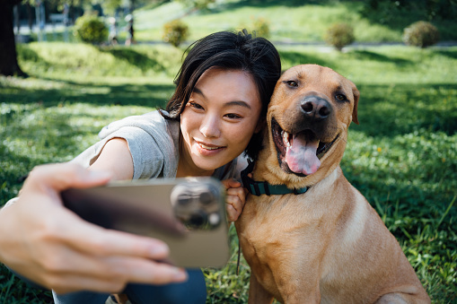Happy young Asian woman enjoys spending time with her pet dog in the nature, takes selfie using smartphone with her dog in park. Living with pets. Pets and friendship