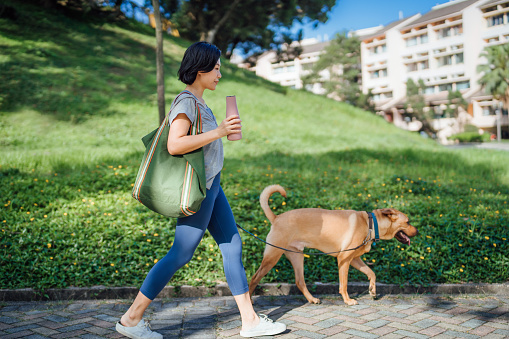 Young Asian woman holding a reusable drinking bottle, walking her pet dog on a leash in the park on a sunny morning, enjoying time together in the nature. Living with pets. Pet and owner bonding time