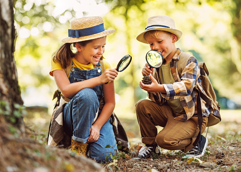 Two little children boy and girl with backpacks looking examining fir cone through magnifying glass while exploring forest nature and environment on sunny day during outdoor ecology school lesson