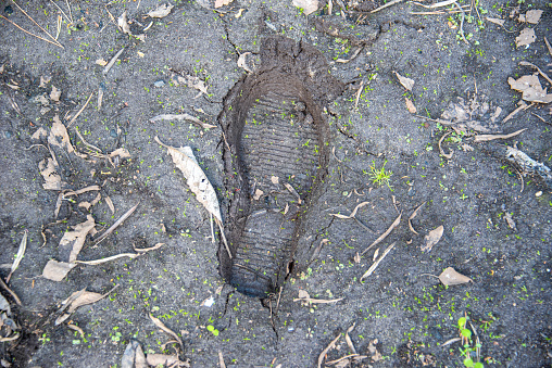A boot print on the damp ground of a vegetable garden in early spring. Garden, rural, cottage.