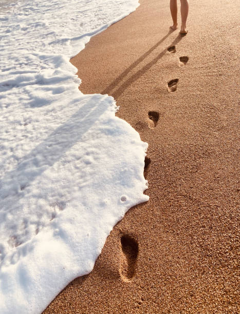 Footsteps on the shore of the beach