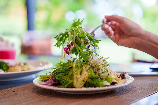 Vibrant arrangement of green salad consisting of alfalfa sprouts, walnuts, leafy vegetables, olives, and drizzled with salad dressing. This dish represents a delicious and nutritious option for those following a vegan diet.