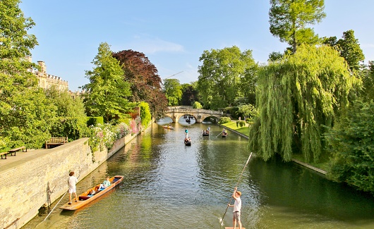 Punters on the River Cam. Cambridge, with Clare Bridge, Clare College and King's College Bridge behind.