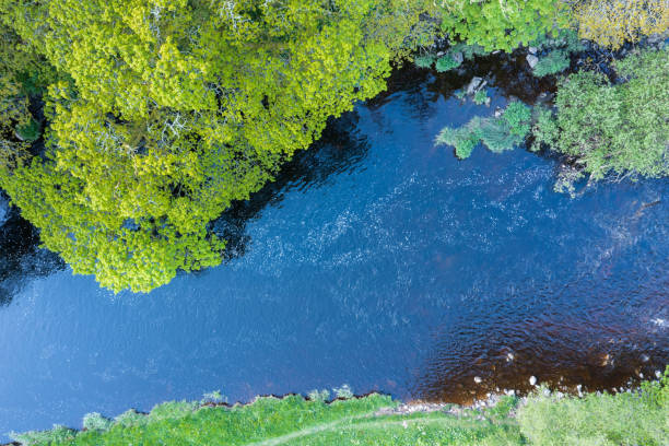 istock Aerial view from a drone of a rural Scottish river 1490304422