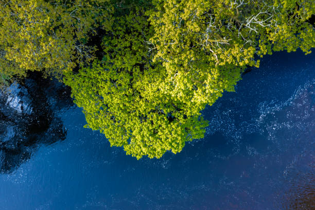 istock The view of a river directly below a drone 1490304452