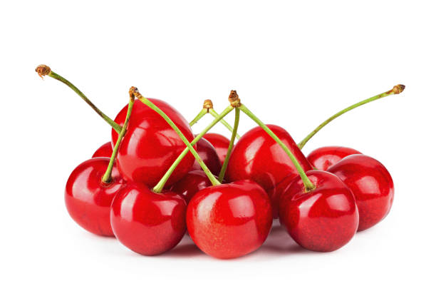 istock Lots of ripe red cherries. Isolated on white background. 1490305032