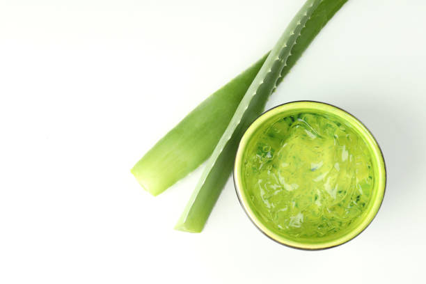 istock Aloe leaves and bowl with gel on white background 1490306134