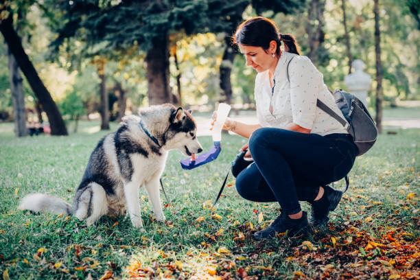 Dog owner giving water to dog