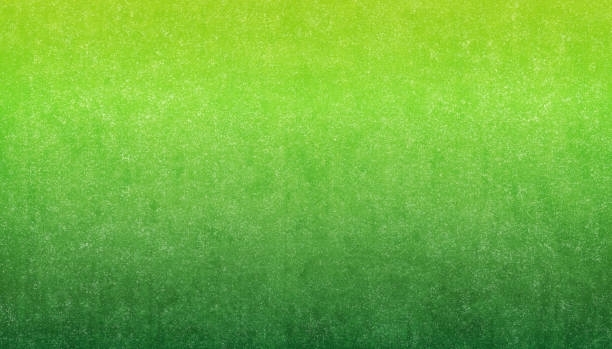 Textured Green Gradient Background - Spring and Summer Background - fotografia de stock