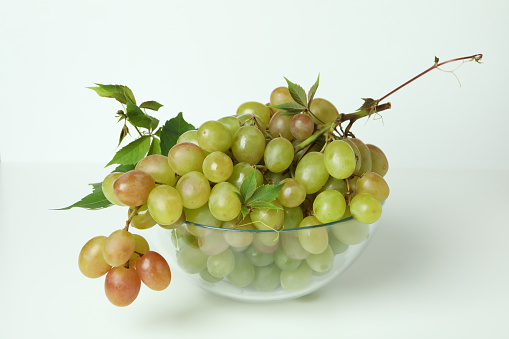 Freshly harvested red grapes in a vineyard in a ceramic bowl.