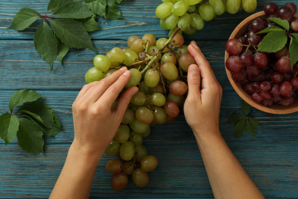 istock Female hands hold grape on wooden background 1490314648