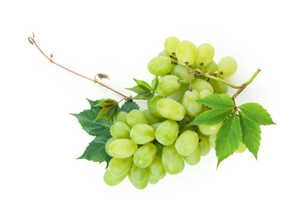istock Green ripe grape isolated on white background 1490314956
