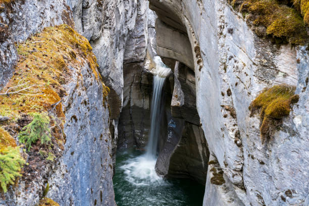 cascada maligne canyon. parque nacional jasper, alberta, canadá. - lago maligne fotografías e imágenes de stock