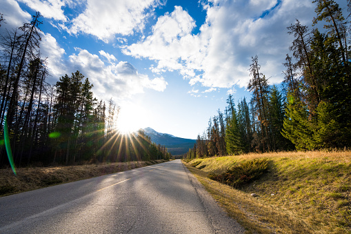 Mountain road in the forest in summer time. Maligne Lake Road. Jasper National Park, Canadian Rockies, Alberta, Canada.