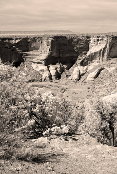 Autumn in Infrared light sepia toned at the Canyon De Chelly Navajo Nation Arizona