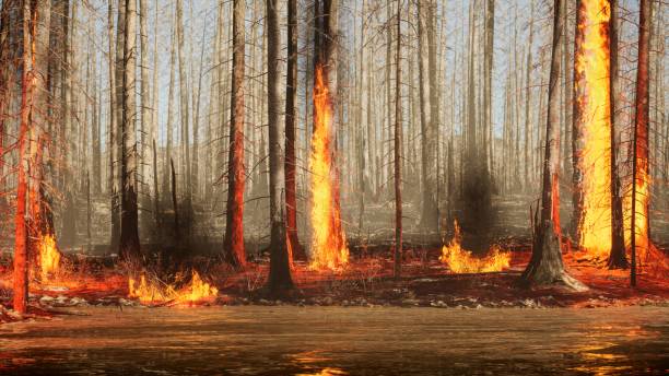 лесной пожар кромка воды - лесной пожар - огромные smoky горы стоковые фото и изображения