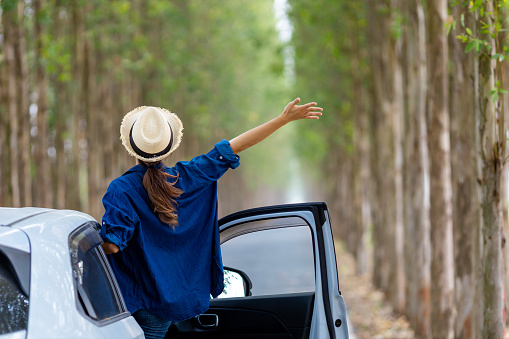 Back view of tourist woman is enjoying on the roadtrip while having vacation at the national park driving down the road with column of tree for travel and adventure