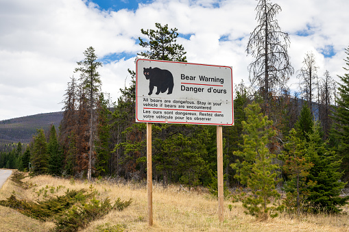 Alberta, Canada - May 11 2021 : Bear warning sign in Jasper National Park.