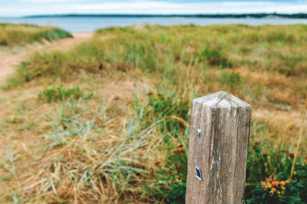 Old wooden post on West Beach in Halmstad, Sweden.. Selective focus.