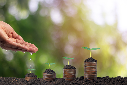 plant a tree on a coin growth concept finance
