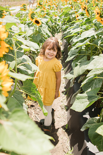 A 4-Year-Old Cuban-Amerian Girl with Brown Curly Hair & Brown Eyes Wearing a Yellow Dress & Dark Green Rainboots Having Fun in a Field of Large Vibrant Yellow Sunflowers Growing Under the Bright South Florida Sunshine. A Blue Sky With Puffy White Clouds fills the Background. Captured at Midday, in the Spring of 2023 in West Boynton Beach, Florida.