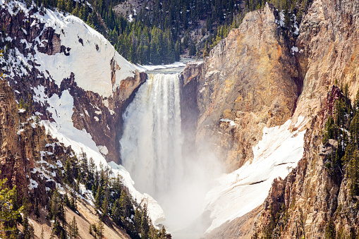 Lower Falls of the Yellowstone River rushing water and snow melt clinging to the side of the canyon in spring at Yellowstone National Park