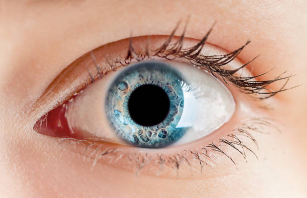 istock The human blue eye is healthy. Eye diseases 1490348492