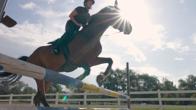 Horse, ridden by a female rider, jumping over hurdles, low angle shot
