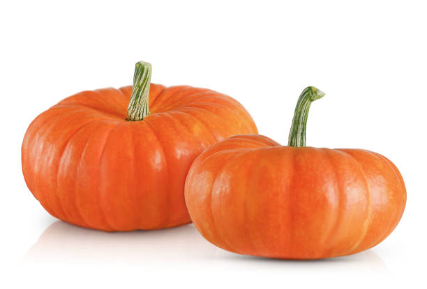 istock two orange pumpkins isolated on a white background 1490348722
